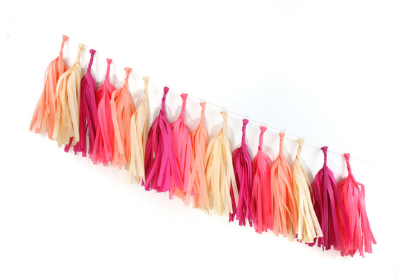 Macaron Tissue Tassel Garland Kit