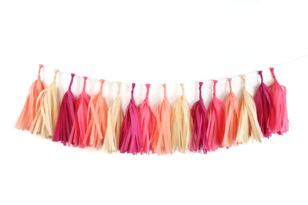 Macaron Tissue Tassel Garland Kit